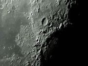 MACROBIUS & Cia.
