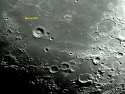 Cratera BULLIALDUS.