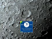 FELIZ ANO NOVO - HAPPY NEW YEAR !!!