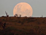 Amo a Lua - enviada por Angelaine - Araxá / MG.