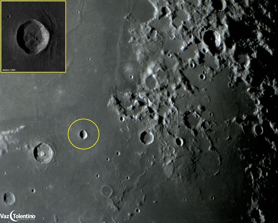 Image_95y2a_site