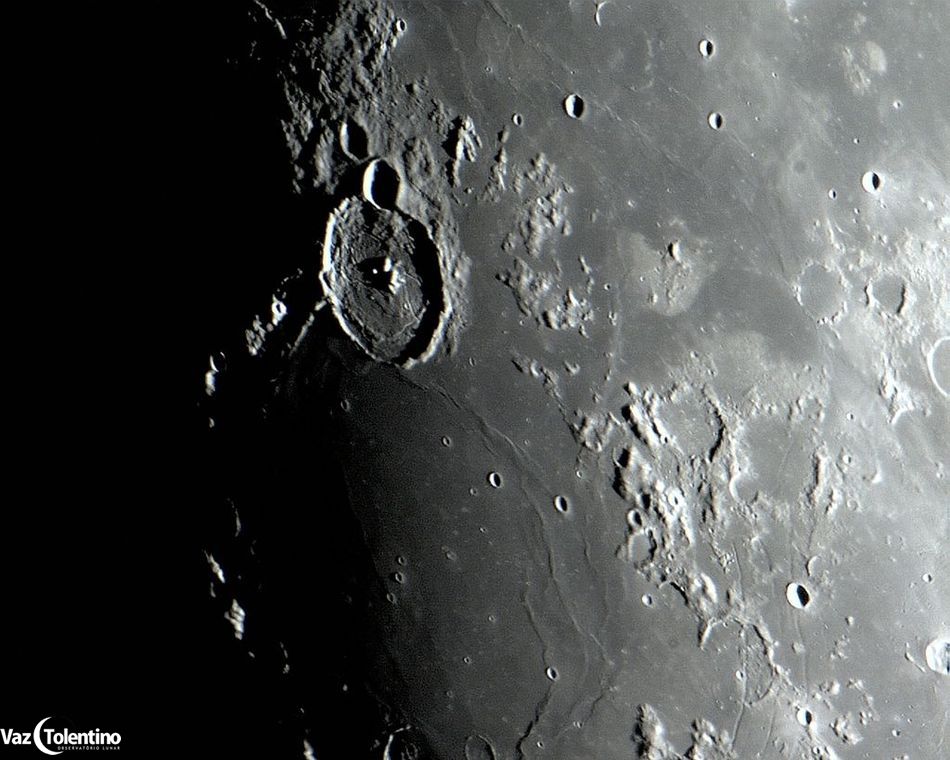 Image_37_1
