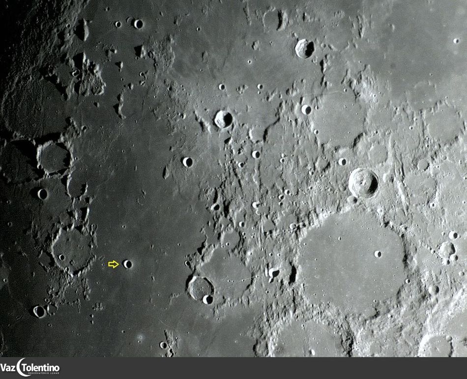 Image_269b2_site