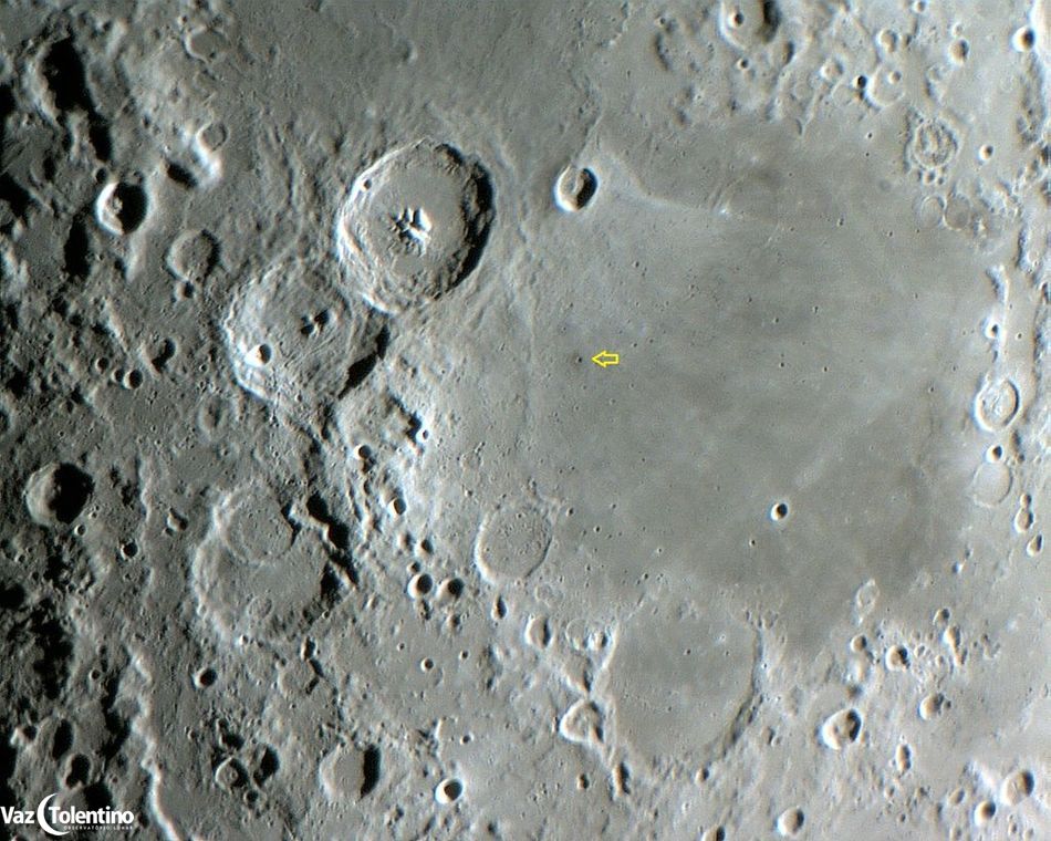 Image_244bb_site