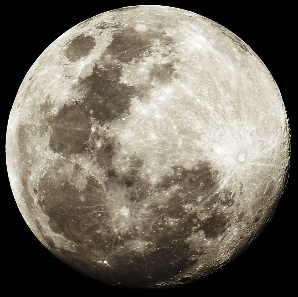 Whatsapp_image_2026-02-01_at_11