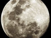 Lua Cheia (99%) - 31 de janeiro de 2026, 22h21m. Nikon CoolPix P900 - Hélio Vital / RJ.